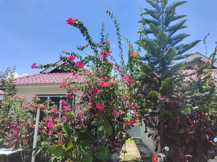 Langkawi Homestay Bunga Padi Kuah Bagian luar foto